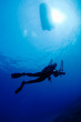 underwater photographer
