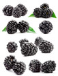 Big compilation of blackberries on a white background