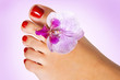 foot with flower of orchid