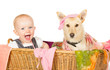 Baby and dog in the laundry basket