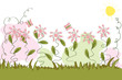 floral herbe traits