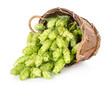 Hops in a wooden basket