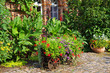 rural garden
