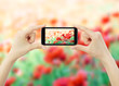 Foto: mobile cell phone mobile cell phone