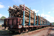 Transporting Wood on a Train