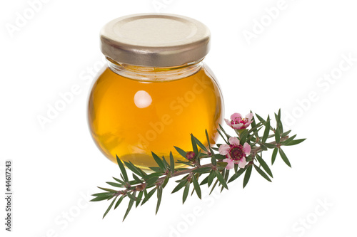 Photo: jar of honey with manuka (tea tree or Leptospermum) flower jar of honey with manuka (tea tree or Leptospermum) flower