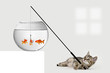 Katze angelt im Goldfischglas
