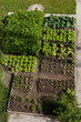 Gemüsegarten