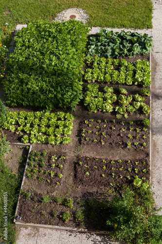 Photo: Gemüsegarten Gemüsegarten