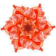 Flower mandala on white background