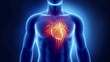 Beating human heart in x-ray