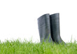 Wellingtons