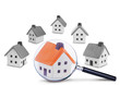 search and inspection of the house