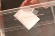 vote