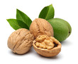 Walnuts and leaves