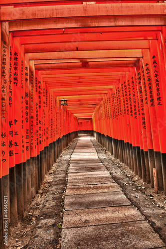 Photo: Fushimi Inari Fushimi Inari