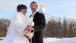 pigeon to sit down on shoulder to one of newly-married couple