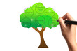 Hand drawing tree of good governance
