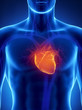 Focused on human heart