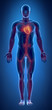 Cardiovascular system with glowing heart