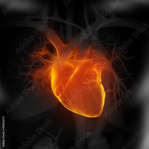 Illustration: Focused on human heart Focused on human heart