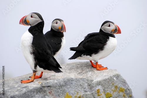 Photo: Three Amigos Three Amigos