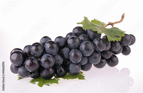 Foto: grape isolated grape isolated