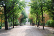 Augarten