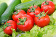 Tomatoes and cucumbers ready for salad