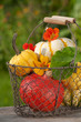Pumpkins - Kürbisse