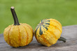 Pumpkins - Zierkürbisse