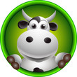 cute cow head cartoon