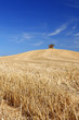 Paysage de campagne toscane