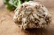 Frische Sellerieknolle
