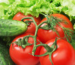 Photo: Tomato, cucumber and lettuce salad Tomato, cucumber and lettuce salad