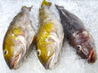 Frutos do mar