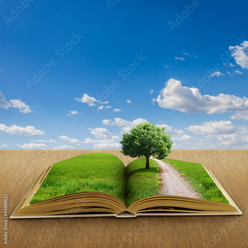 Photo: open book open book