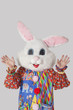 Man wearing bunny mask with standing raised hands against gray background