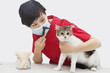 Photo: Female veterinarian examining cat's ear with an otoscope device against gray background Female veterinarian examining cat's ear with an otoscope device against gray background