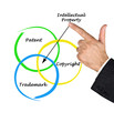 protection of intellectual property