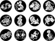 Twelve horoscope zodiac star signs