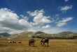 ABRUZZO