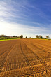 Weites Feld im Herbst bei  Manholzweiler