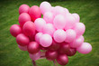 Foto: purple balloons on green purple balloons on green