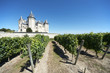 Saumur