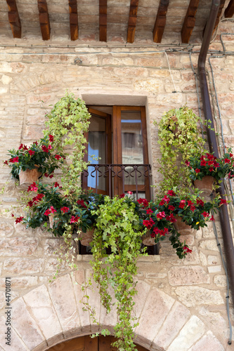 Photo: flowers hangs on the window of a home flowers hangs on the window of a home