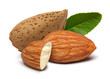 Almonds and leaves