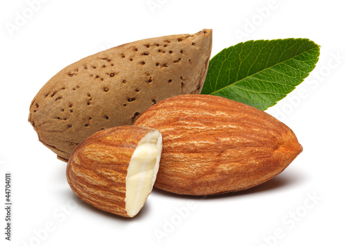 Photo: Almonds and leaves Almonds and leaves