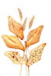 grano e pane