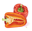 Fresh sweet pepper